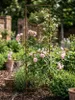 Rankgitter Rost 200 x 46 cm - Rankhilfe Garten - Produktbild-Vorschau 4