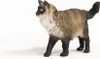 Schleich Farm World 13940 Gatto Ragdoll Anteprima dell’immagine prodotto 9