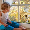 Relaxdays Ptačí budka se stojanem, ze dřeva, neošetřená, Náhled obrázku produktu 3