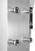 A close-up view of a modern stainless steel shower panel with multiple water jets and a handheld showerhead. Podgląd zdjęcia produktu