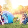 8 sztuk stalowych kołków namiotowych 30 cm z hakiem i Podgląd zdjęcia produktu 3