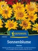 Kiepenkerl Sonnenblumensamen Pacino Helianthus annuus 40 Produktbild-Vorschau 3