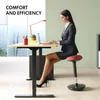 Set da 2 sgabelli da lavoro ergonomici FLEXISPOT – Sgabello Anteprima dell’immagine prodotto 3