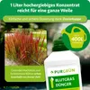 Purgrün Blutgras-Dünger 1 Liter, Produktbild-Vorschau 4