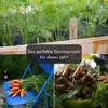 5 m de ruban de semences de carottes (Nantaise 2 - Daucus Voir les images du produit 4