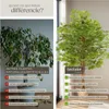 Ficus artificiel FIDA à l'aspect naturel - 160 cm Voir les images du produit 5