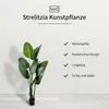 IvoQ Strelitzia Kunstpflanze 160 cm - Große Produktbild-Vorschau 2