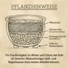 Teramico Pflanzgefäß Keramik „Bavaria“ Ø28cm Moosgrün Produktbild-Vorschau 4
