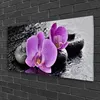Acrylglasbilder 100x50 Wandbild Druck Blumen Steine Produktbild-Vorschau 2