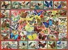 ANATOLIAN Puzzle Beaucoup de papillons 1000 pièces Voir les images du produit 1