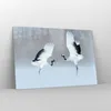 Bilder auf glas - Einteilig - Kraniche kämpfen tanzen - Produktbild-Vorschau 4