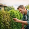 Koniferendünger 20kg NPK 5-9-12 Thuja Hecke Zypresse Produktbild-Vorschau 7