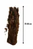 Baumfarn Dicksonia antarctica 70–80 cm | Kahler Stamm | Produktbild-Vorschau 4