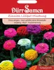 Dürr-Samen - Zinnien Lilliput Prachtmischung einjährig 45 Produktbild-Vorschau 6