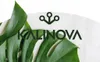 A logo and the brand name are displayed over a background of large green leaves. Produktbild-Vorschau