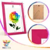 MG Design 5er Set Bilderrahmen 20 x 30 cm - Fotorahmen mit Produktbild-Vorschau 7