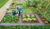 Set de 4 dalles de potager Maxi Voir les images du produit 3