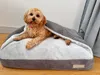 DOTTY Kuschelhöhle Kuscheliges Hundebett Hundenest Produktbild-Vorschau 2