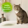 Bactador Katzentoiletten-Geruchsentferner | 500 ml Produktbild-Vorschau 4