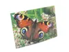 3 D Ansichtskarte Schmetterling, Tagpfauenauge, Postkarte Produktbild-Vorschau 3