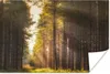 MuchoWow® Poster Baum - Gras - Sonne 30x20 cm - Plakate - Produktbild-Vorschau 1