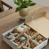 Sebra Geburtstagszug aus Holz mit Tieren & Elefant, für Produktbild-Vorschau 4