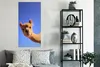 MuchoWow® Poster Alpaka - Braun - Blau 60x120 cm - Produktbild-Vorschau 4