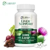 Liver Support (120 Kapseln) Nahrungsergänzungsmittel, Produktbild-Vorschau 3
