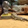 Navaris Reptilien Wasserspender - Großes Volumen 400 ml - Produktbild-Vorschau 7