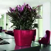 LECHUZA plantpot QUADRO Premium LS 21, rood, hoogglans | Productafbeelding-voorbeeld 11
