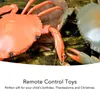 RC krab hračka vzdelávanie simulované morské zvieratá Náhľad obrázku produktu 3