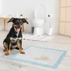 PawHut Hundeunterlagen, 80 Stück, 60 x 60 cm, Produktbild-Vorschau 2