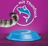 WHISKAS® Beutel 1+ mit Thunfisch 7kg Produktbild-Vorschau 6