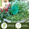Scheurich Wasserspender Froggy M | 2x Grün | 140 ml Produktbild-Vorschau 3