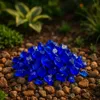 Dunkelblauer Glas-Splitt 3–5 cm 5 kg – Dekorativer Glaskies Produktbild-Vorschau 4