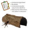 Aquariumdeko Baumrinde Baumstamm Halbbogen Aquarium Produktbild-Vorschau 5