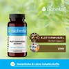 Bioherba Klettenwurzel Extrakt 300 mg 100 Kapseln Produktbild-Vorschau 4
