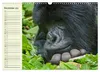 Berggorillas im Herzen Afrikas (Wandkalender 2027 DIN A3 Produktbild-Vorschau 14