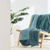 A teal blanket is draped over a wooden chair next to a large potted plant. Produktbild-Vorschau