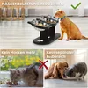 Katzennapf Erhöht Superdesign 15 Grad Neigung Hundenapf Produktbild-Vorschau 7