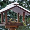 Birds feeding on a snow-covered bird feeder in a garden. Produktbild-Vorschau