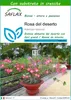 SAFLAX  - Rosa del deserto - 8 semi - Con substrato - Anteprima dell’immagine prodotto 1