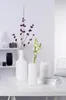 Leonardo Vase 20x15 blanc Milano Voir les images du produit 3