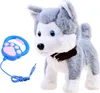 A plush husky toy with a leash and collar, presented on a white background. Produktbild-Vorschau