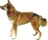 Trixie Schutzhöschen, XL: 60–70 cm, schwarz Produktbild-Vorschau 5