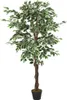 vidaXL Albero di ficus artificiale 756 foglie 150 cm Verde Anteprima dell’immagine prodotto 1