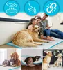 A collage of images showing dogs and a cat on absorbent pads, with a family interacting with a dog. The top section includes marketing icons. Produktbild-Vorschau
