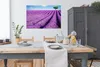 MuchoWow® Poster Ein blühendes lila Lavendelfeld an einem Produktbild-Vorschau 3