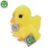 Rappa Plyšové kuře stojící 14 cm ECO-FRIENDLY Náhled obrázku produktu 4