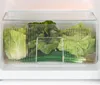 A clear, well-lit image of fresh vegetables stored in a clear plastic container inside a refrigerator. Produktbild-Vorschau